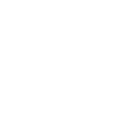 person-military-pointing