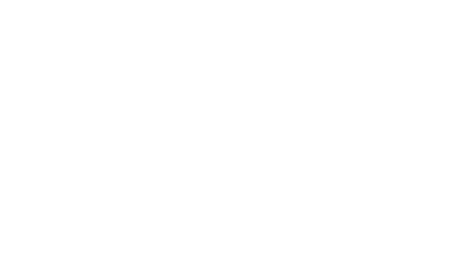 lkw_lang